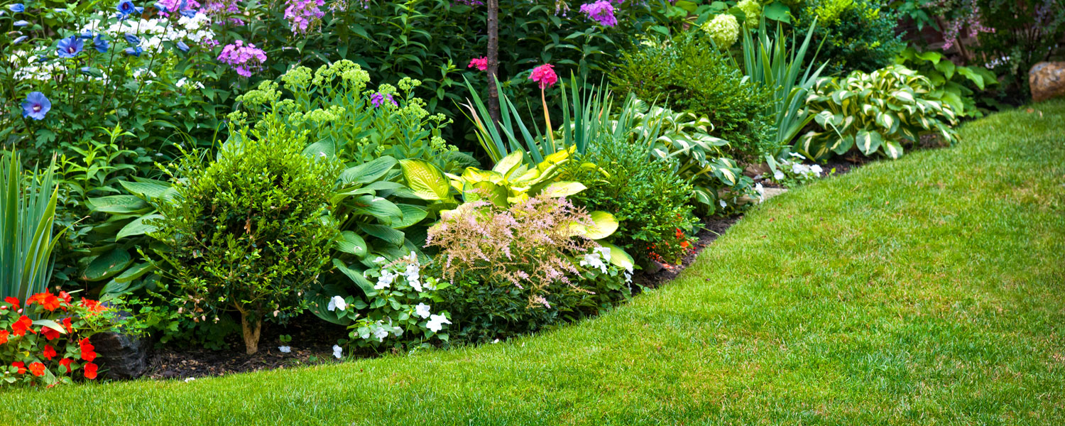 Neglected Gardens